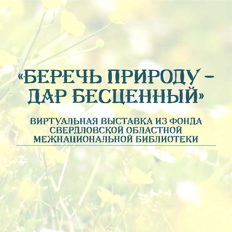 1_1.jpg